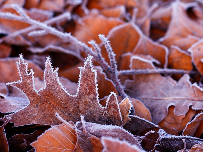 Rēzeknē gaisa temperatūra pazeminājusies līdz mīnus 5,4 grādiem 