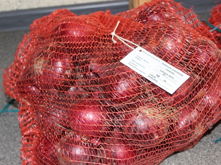 Baltinavas vidusskolas mazpulcēni piedalījās biznesa projektā "Sarkanie sīpoli"

