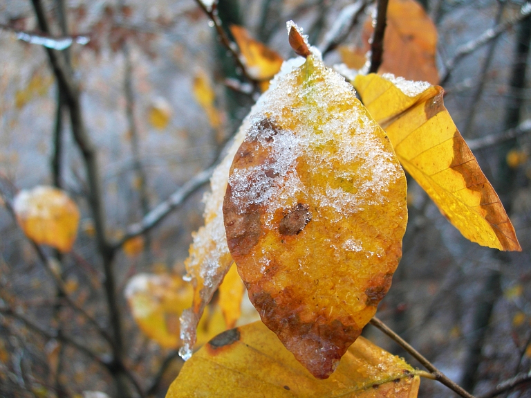 Daugavpilī labots aukstuma rekords