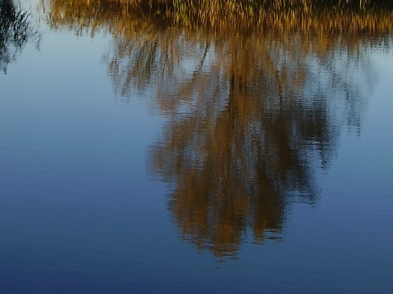 Balvu novadā izceļ dīķī noslīkušu vīrieti


