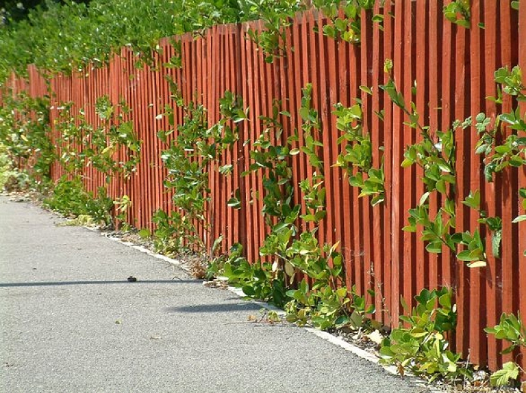 Preiļos rīko rudens talkas privātmājām
