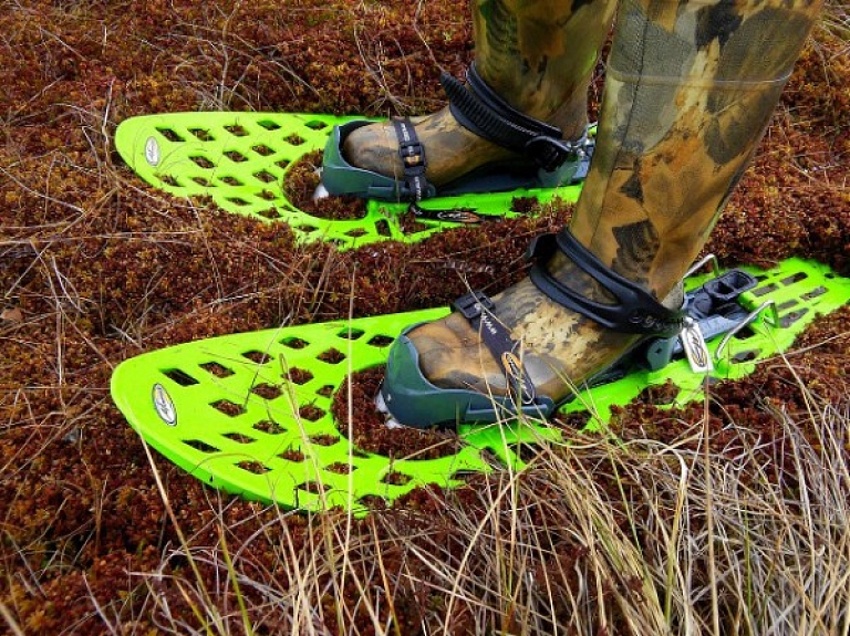 Jūrmalā atklāj purvu noslēpumus kopā ar purvu bridējiem

