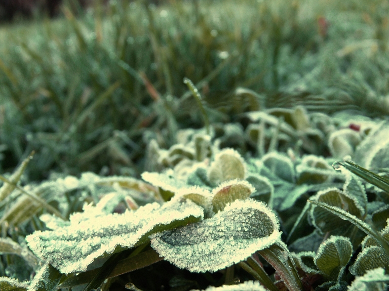 Daugavpilī labots minimālās temperatūras rekords 