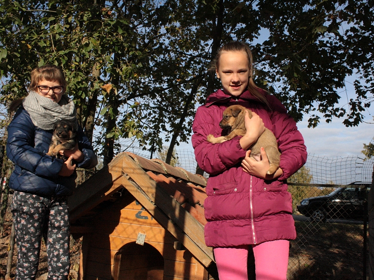Labo darbu nedēļā Valmieras sākuskolas skolēni palīdz dzīvnieku patversmes iemītniekiem