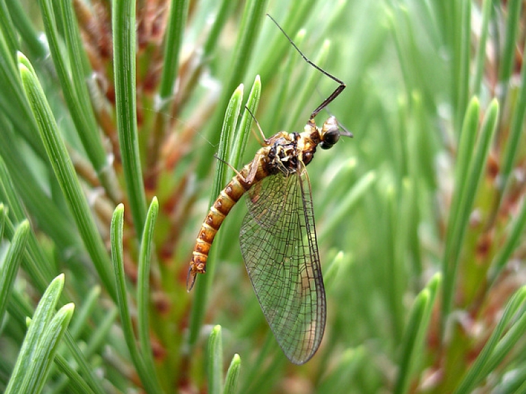 Dabas muzejs par teju 25 000 eiro veiks remontdarbus

