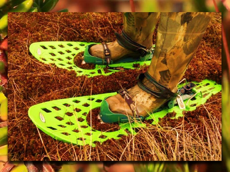 Salas purvā notiks pārgājiens ar purva kurpēm