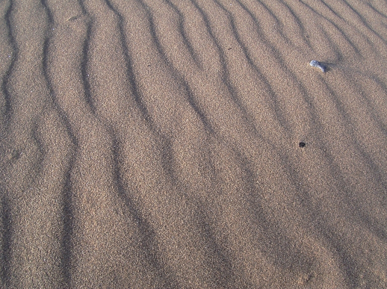 Ļaus izskriet Jūrmalas takas