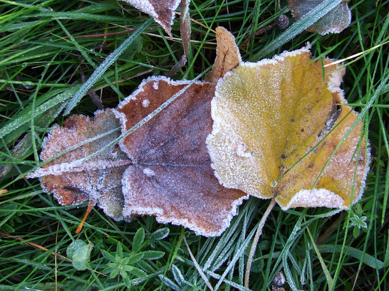 Laika vērotājs novembri paredz ar vieglu salu un nelieliem nokrišņiem

