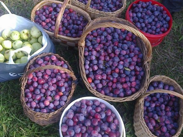 Viļakas sociālās aprūpes centra pārstāvji kopā ar dzejnieci Evu Dortāni apmeklē "Ogukalnus"