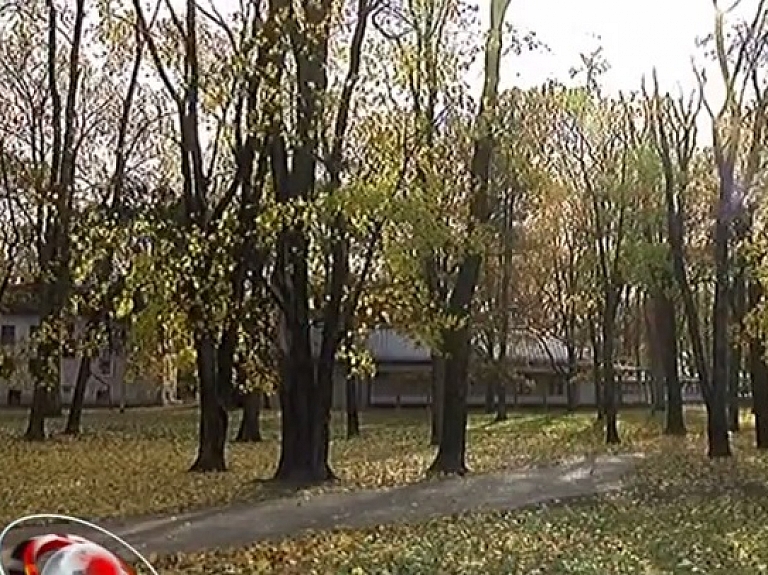 Valmierā grib izcirst desmitiem koku
  

      
    
