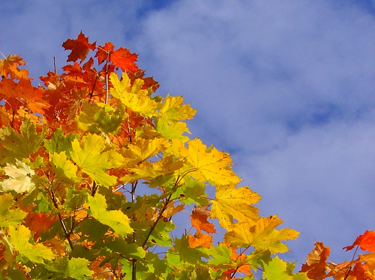 Aicina kopīgi veidot fotoizstādi "Nezināmā Naujene"