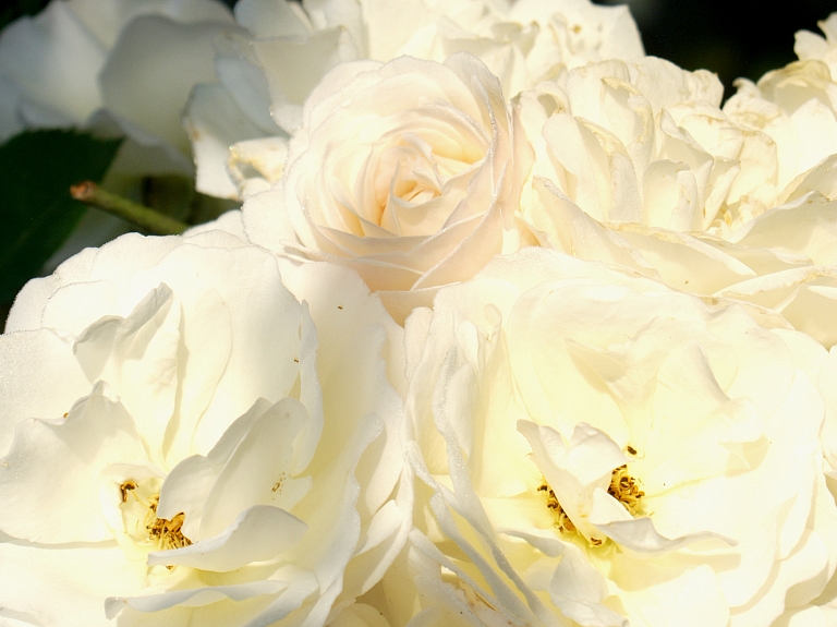 Zināmi konkursa "Baltinavas novada Gada cilvēks 2015" rezultāti            