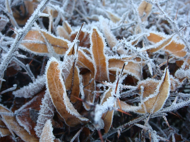 Ceturtdienas rītā Daugavpilī gaiss atdzisis līdz mīnus 8 grādiem