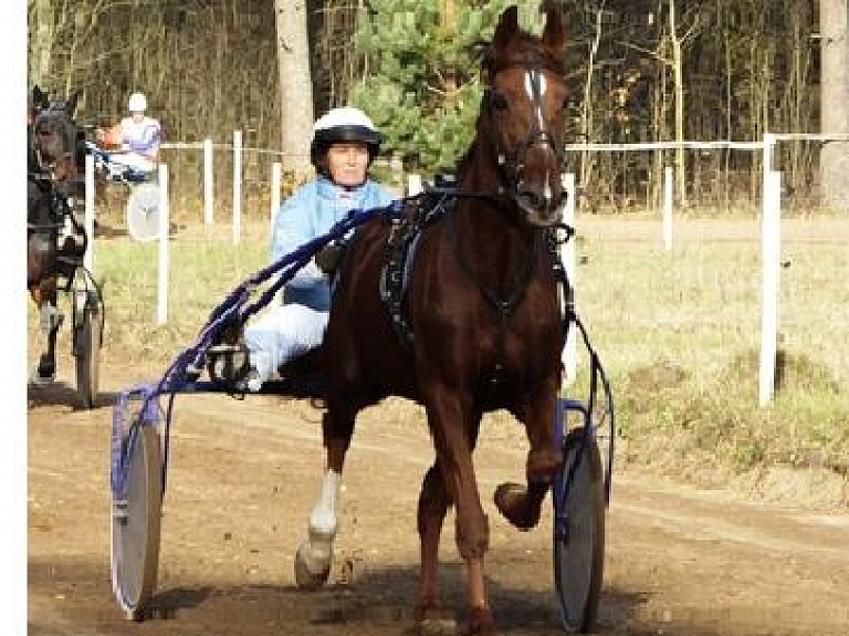 Latgales ceļojošais kauss šogad tiek Ciblas novadam

