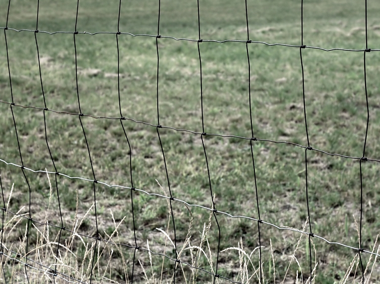 Silenes robežpunktā pieciem Gruzijas pilsoņiem liegta ieceļošana Latvijā