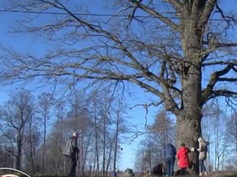 Baltinavas novadā Latvijas simtgadei par godu stāda ozolus   

      
    

