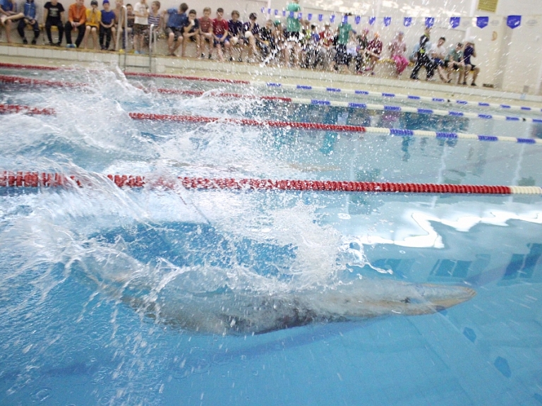 Nelielajā Ilūkstē atklāts peldbaseins

