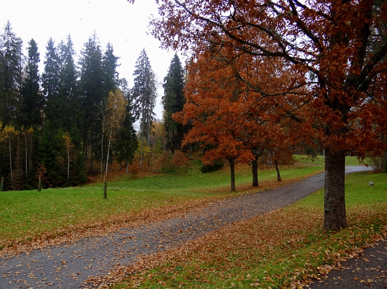 Jaunos reindžerus Ķemeros aicina uz informācijas dienu

