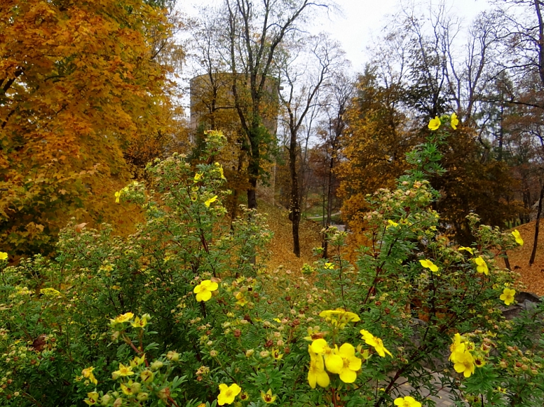 Ķemeru Nacionālajā parkā būvdarbi tuvojas noslēgumam