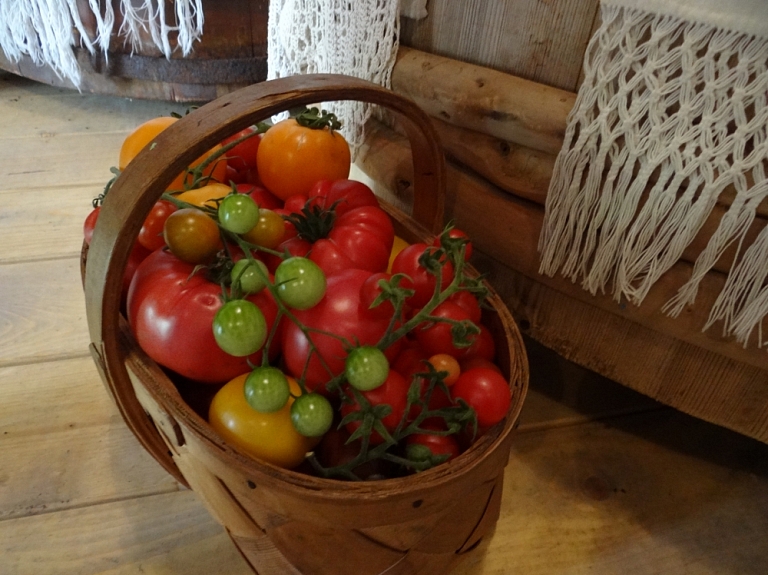 Bērnudārzā virtuvē Talsos atrastas sapelējušas olas, paprika un tomāti