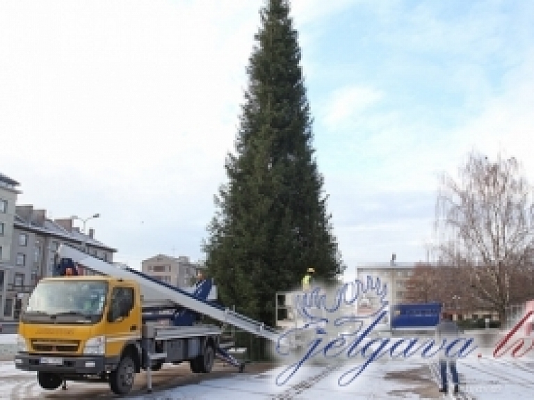 Jelgavā sāk dekorēt lielo pilsētas egli, kuru svinīgi iedegs pirmajā Adventē