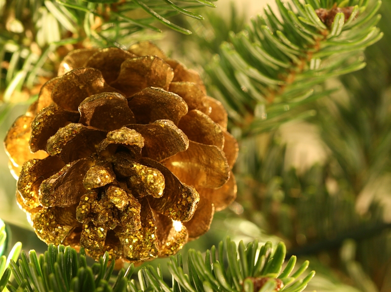 Daugavpilī izsludina Ziemassvētku noformējumu konkursu

