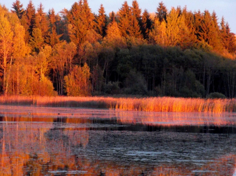 Rugāju novadā aicina uz zivju nozveju

