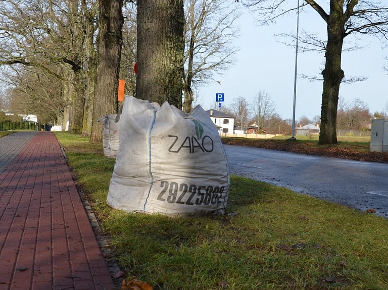 Šī gada rudens lapu vākšanas akcijā nodots vairāk lapu nekā pērn