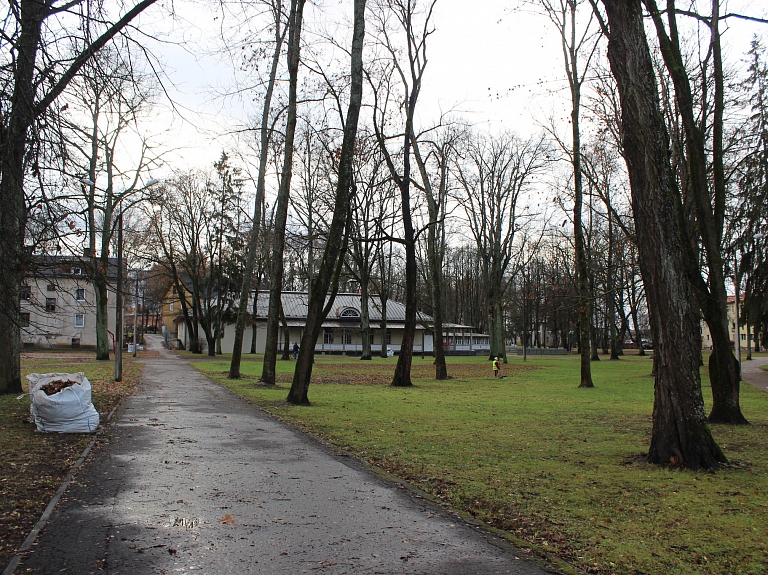 Vecpuišu parka sakārtošana turpināsies

