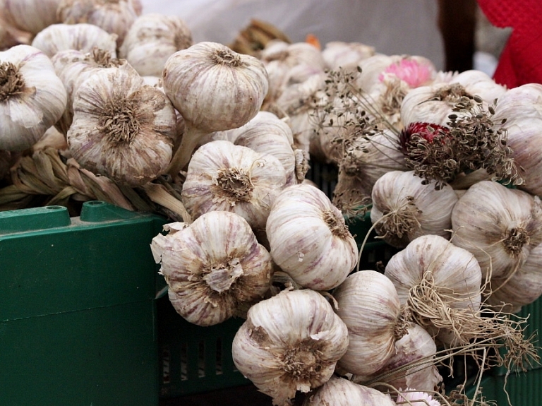 Balvos gaidāms Lauku labumu tirdziņš