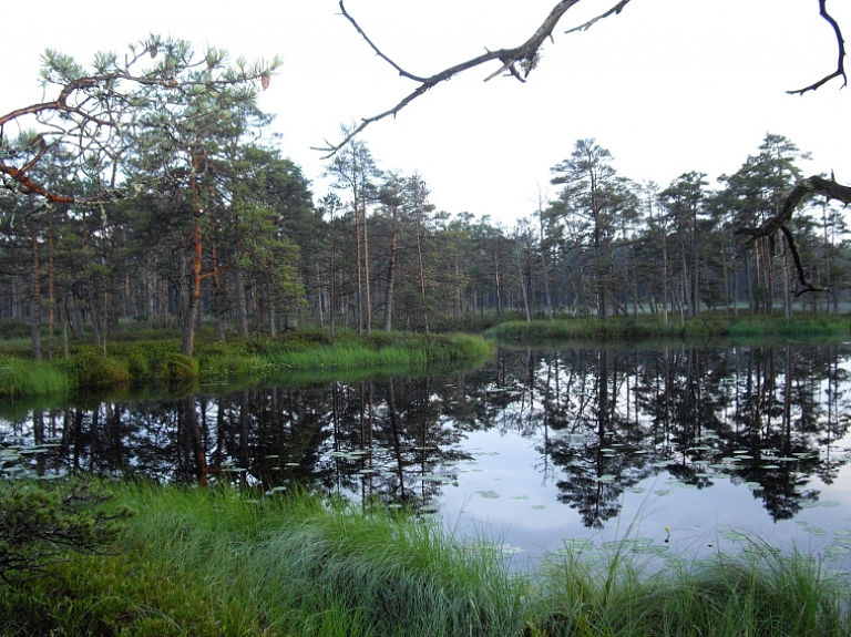Ķemeru Nacionālajā parkā tiks veikti ārstniecisko dūņu pētījumi