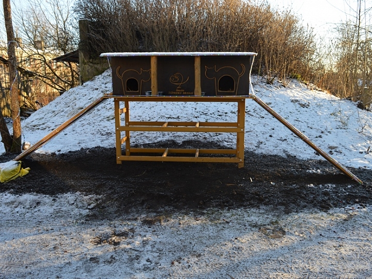 Pociemā pie pansionāta "Pērle" atklāta kaķu māja

