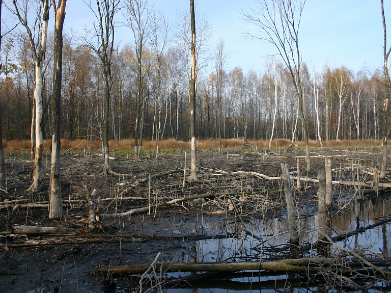 Latvijā daudzviet pārspēts maksimālās gaisa temperatūras rekords

