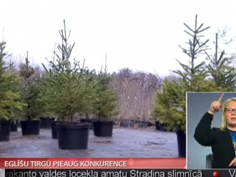 Eglīšu tirgū pieaug konkurence

