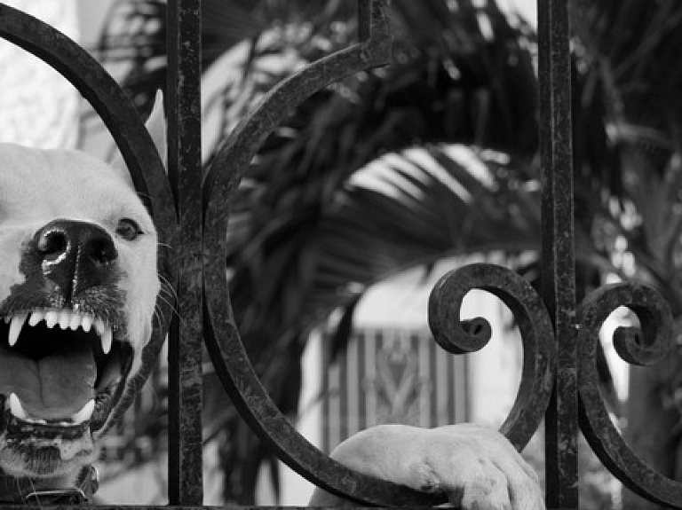 Pierīgā suns sakož 13 gadus vecu meiteni