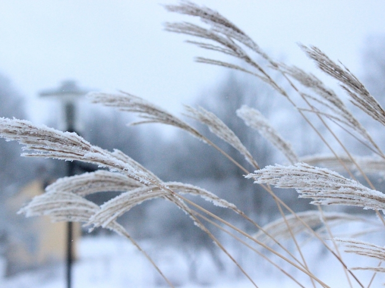 Gaisa temperatūra Alūksnē noslīdējusi līdz mīnus 13 grādiem


