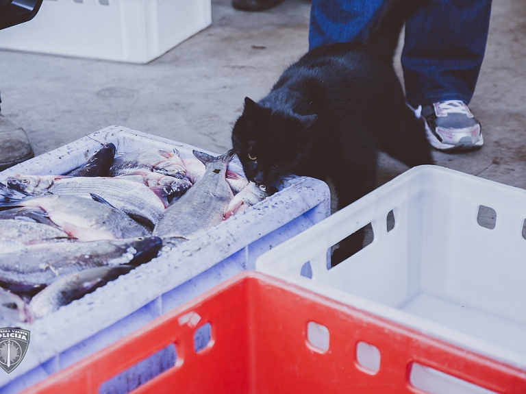 Zoodārza iemītniekiem – garda dāvana

