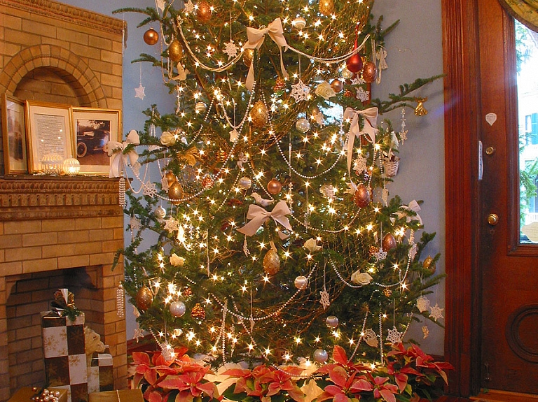 Jaungada naktī Rīgā aizdegas eglīte

