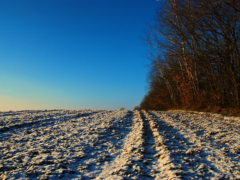 Izstrādāta biedrības "Preiļu rajona partnerība" sabiedrības virzītas vietējās attīstības stratēģija

