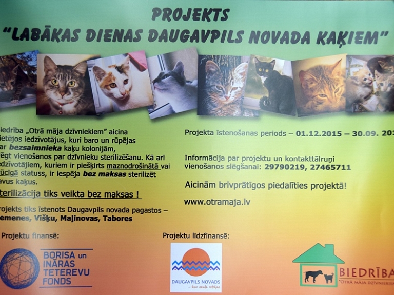 Daugavpils novadā notiek bezmaksas kaķu sterilizācija

