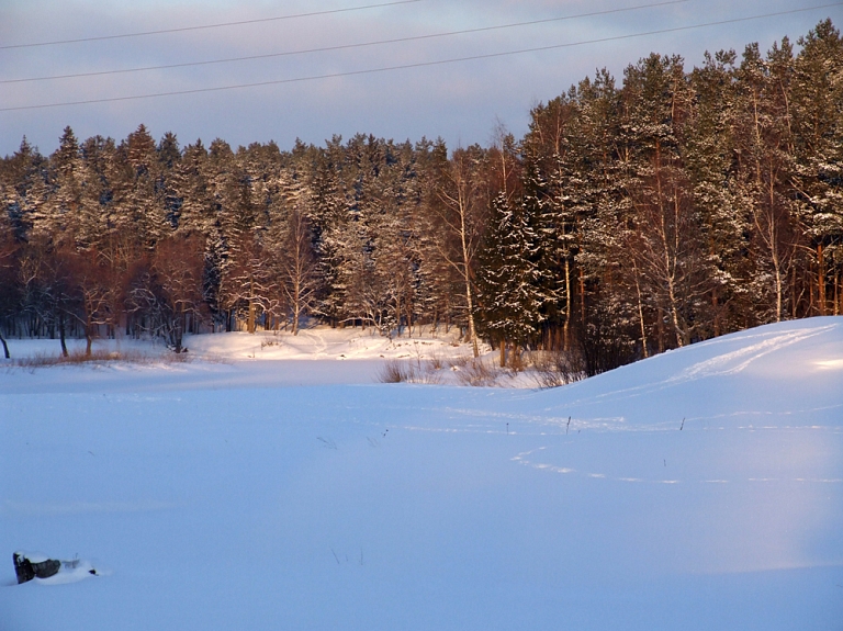 Viļakas novadā mainītas zemes vienība, kuras var nomāt lauksaimniecības vajadzībām 
