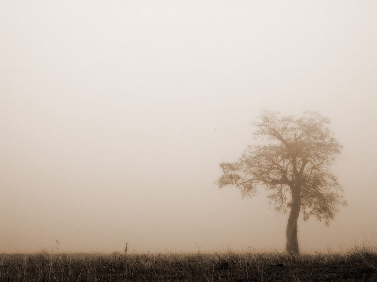 Daugavpils novadā notiks sabiedriskā apspriešana

