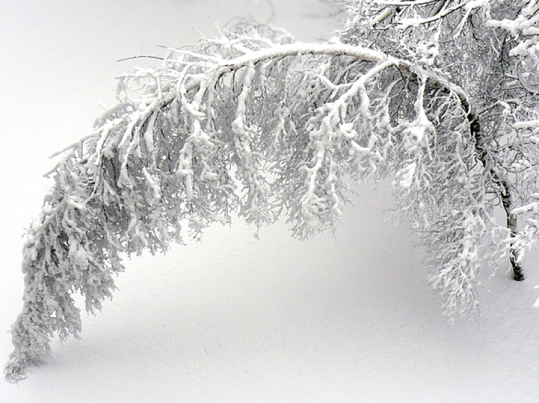 Siguldā izveidojusies 30 centimetrus bieza sniega sega