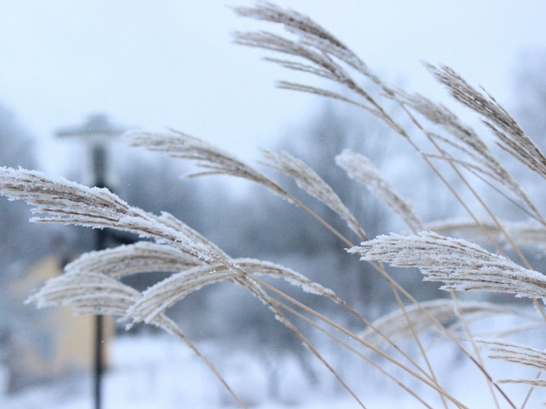 Kurzemē fiksēta svārstīga temperatūras amplitūda