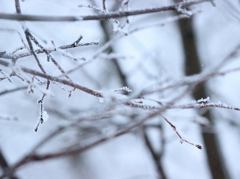 Kurzemē gaidāma visaugstākā temperatūra valstī