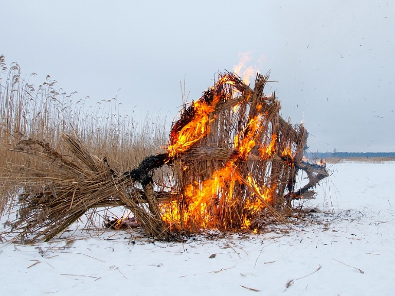 Sedas purvā notiks niedru skulptūru festivāls

