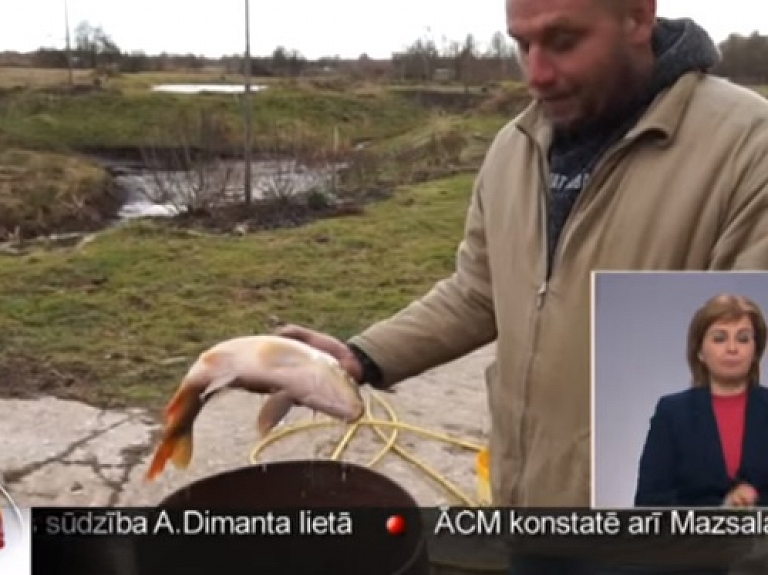 Rūpnieciska piesārņojuma dēļ iet bojā zivis

