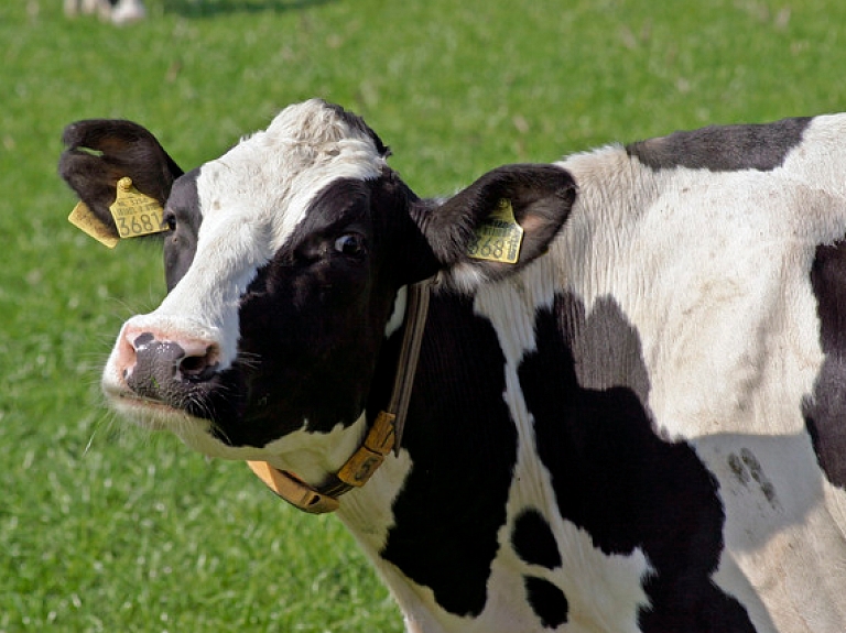 Maina veterināro zāļu izplatīšanas sertifikāta izsniegšanas kārtību