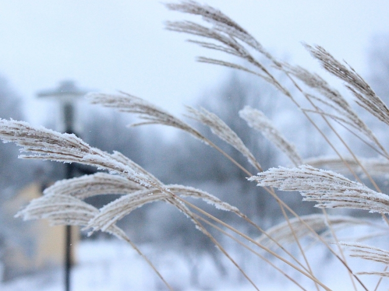 Janvārī vidējā temperatūra bijusi 3,9 grādus zem normas

