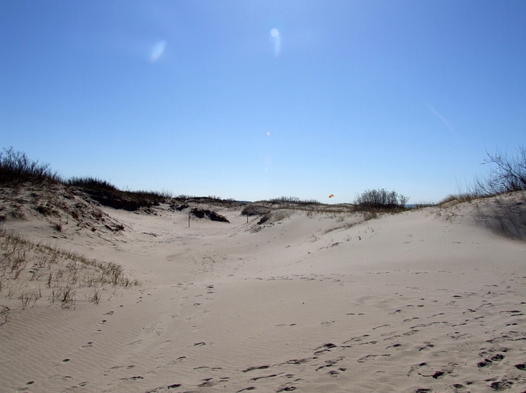 Jūrmalas krasta kāpas stabilizē ar dabiskām metodēm

